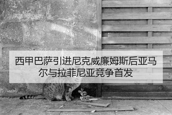 xi-jia-ba-sa-yin-jin-ni-ke-wei-lian-mu-si-hou-ya-ma-er-yu-la-fei-ni-ya-jing-zheng-shou-fa-2-777.jpg