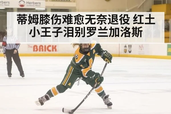 蒂姆膝伤难愈无奈退役 红土小王子泪别罗兰加洛斯