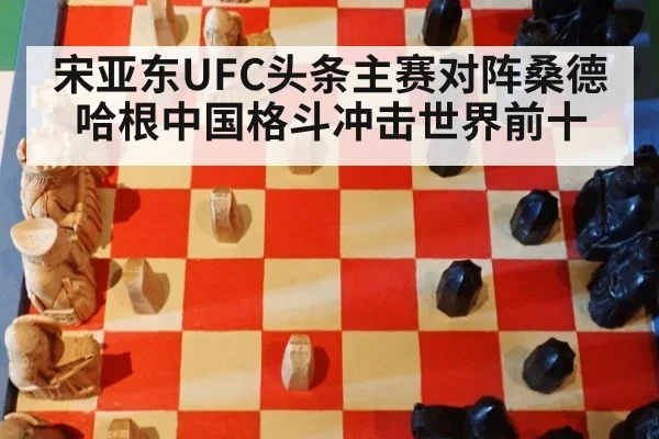宋亚东UFC头条主赛对阵桑德哈根中国格斗冲击世界前十